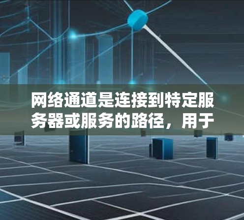 网络通道是连接到特定服务器或服务的路径，用于在互联网上访问其他服务器或服务。以下是对网络通道的详细配置指南
