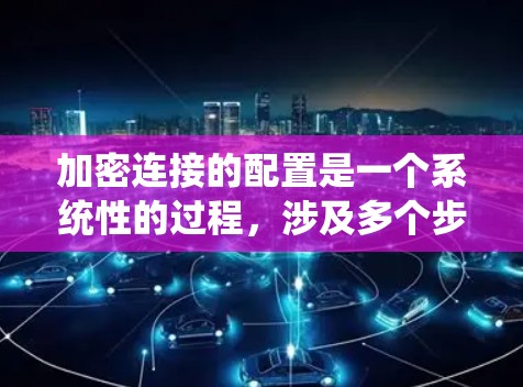 加密连接的配置是一个系统性的过程，涉及多个步骤和细节。以下是一个详细且系统化的加密连接配置指南