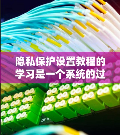 隐私保护设置教程的学习是一个系统的过程，可以按照以下步骤进行
