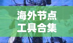海外节点工具合集通常用于处理全球范围内的网络、数据、项目管理和协作任务。以下是一些常见的海外节点工具及其用途，供您参考