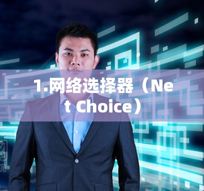 1.网络选择器(Net Choice) 1.网络选择器(Net Choice)