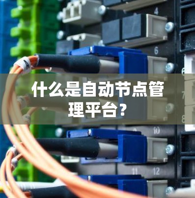 什么是自动节点管理平台? 什么是自动节点管理平台?