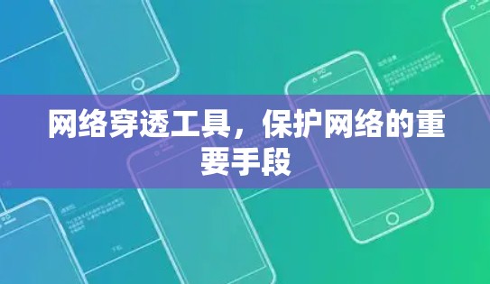 网络穿透工具，保护网络的重要手段
