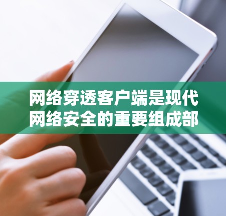 网络穿透客户端是现代网络安全的重要组成部分,它们能够独立执行网络操作,保护用户和设备的数据安全。以下是关于网络穿透客户端的详细总结