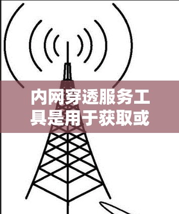 内网穿透服务工具是用于获取或控制内部网络访问权限的工具,主要通过钓鱼邮件、远程脚本攻击等方式实现。以下是详细的解释