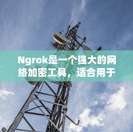 Ngrok是一个强大的网络加密工具,适合用于保护IP地址、管理防火墙和访问控制。以下是详细的安装指南,帮助您安全地安装和使用Ngrok Ngrok是一个强大的网络加密工具,适合用于保护IP地址、管理防火墙和访问控制。以下是详细的安装指南,帮助您安全地安装和使用Ngrok