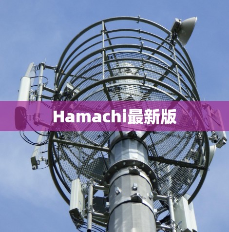 Hamachi最新版 Hamachi最新版