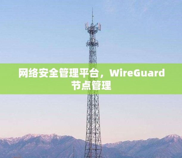 网络安全管理平台,WireGuard节点管理 网络安全管理平台,WireGuard节点管理