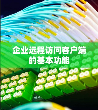 企业远程访问客户端的基本功能