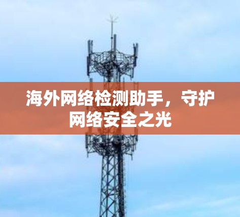 海外网络检测助手,守护网络安全之光