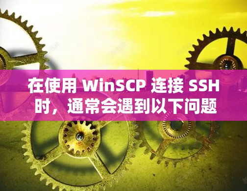 在使用 WinSCP 连接 SSH 时，通常会遇到以下问题和解决方法