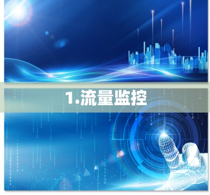 1.流量监控 1.流量监控