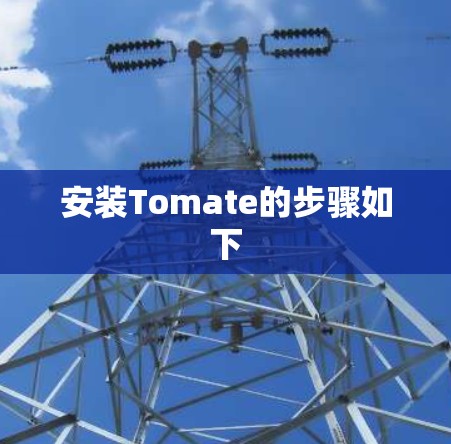安装Tomate的步骤如下 安装Tomate的步骤如下