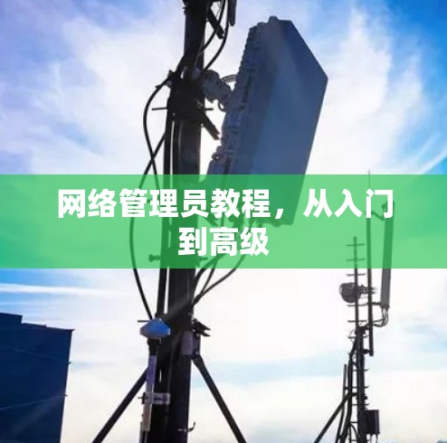 网络管理员教程，从入门到高级