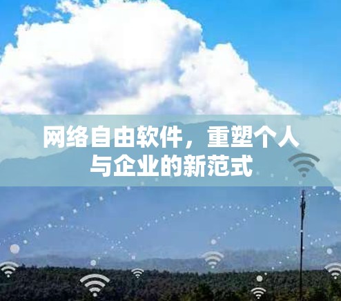 网络自由软件,重塑个人与企业的新范式 网络自由软件,重塑个人与企业的新范式