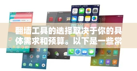 翻墙工具的选择取决于你的具体需求和预算。以下是一些常用且功能丰富的翻墙工具