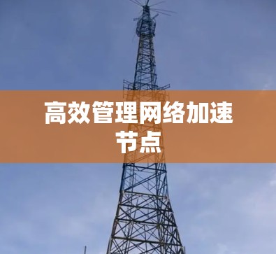 高效管理网络加速节点