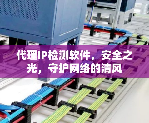 代理IP检测软件，安全之光，守护网络的清风
