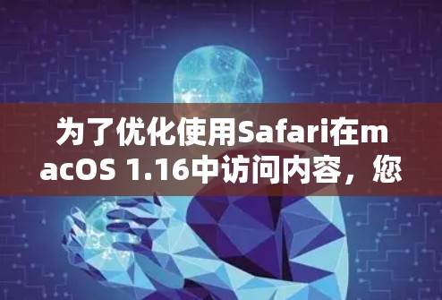 为了优化使用Safari在macOS 1.16中访问内容,您可以按照以下步骤进行调整和优化