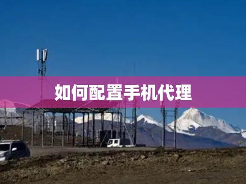 如何配置手机代理