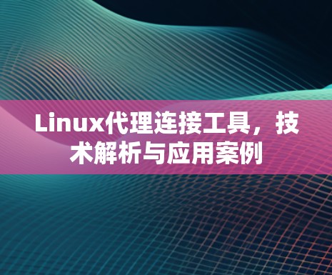 Linux代理连接工具，技术解析与应用案例