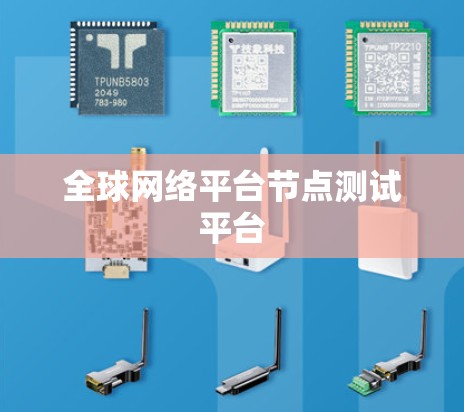 全球网络平台节点测试平台