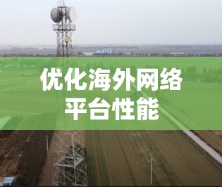 优化海外网络平台性能